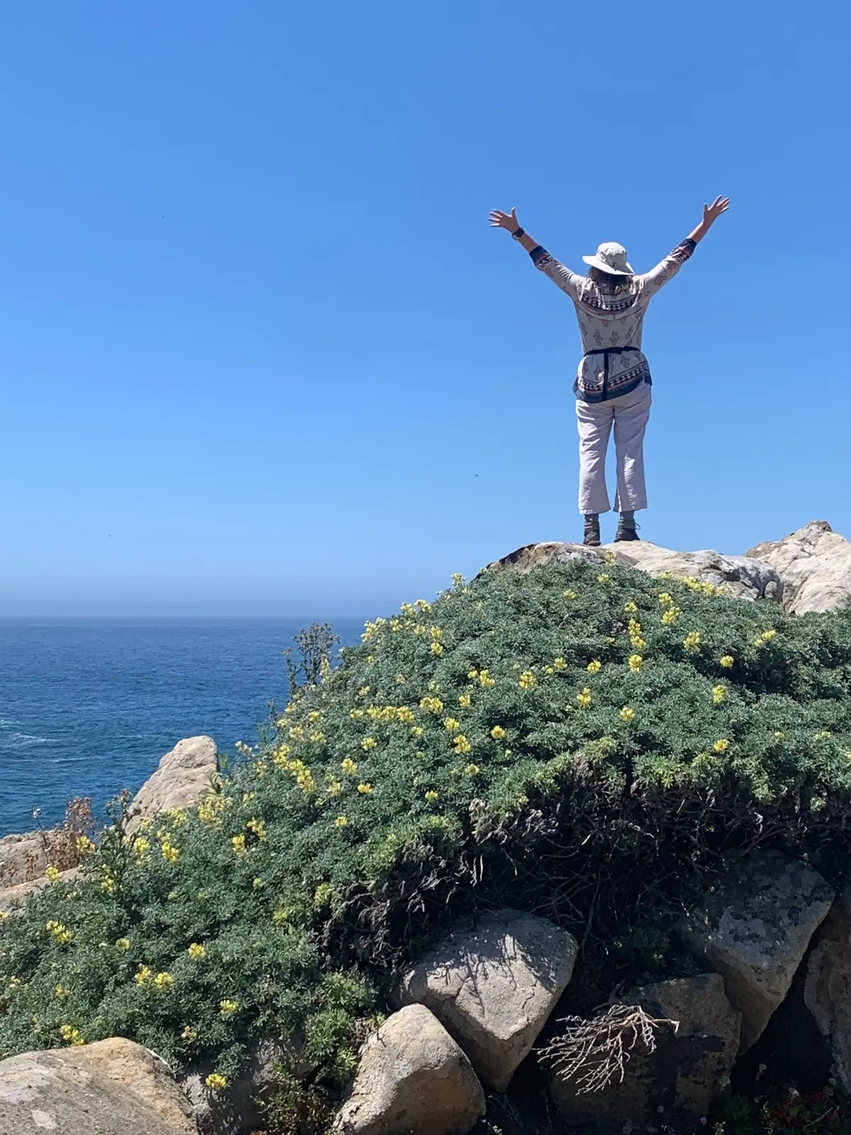 A cross country infatuation kept me afloat for the first year after Pammy died. 