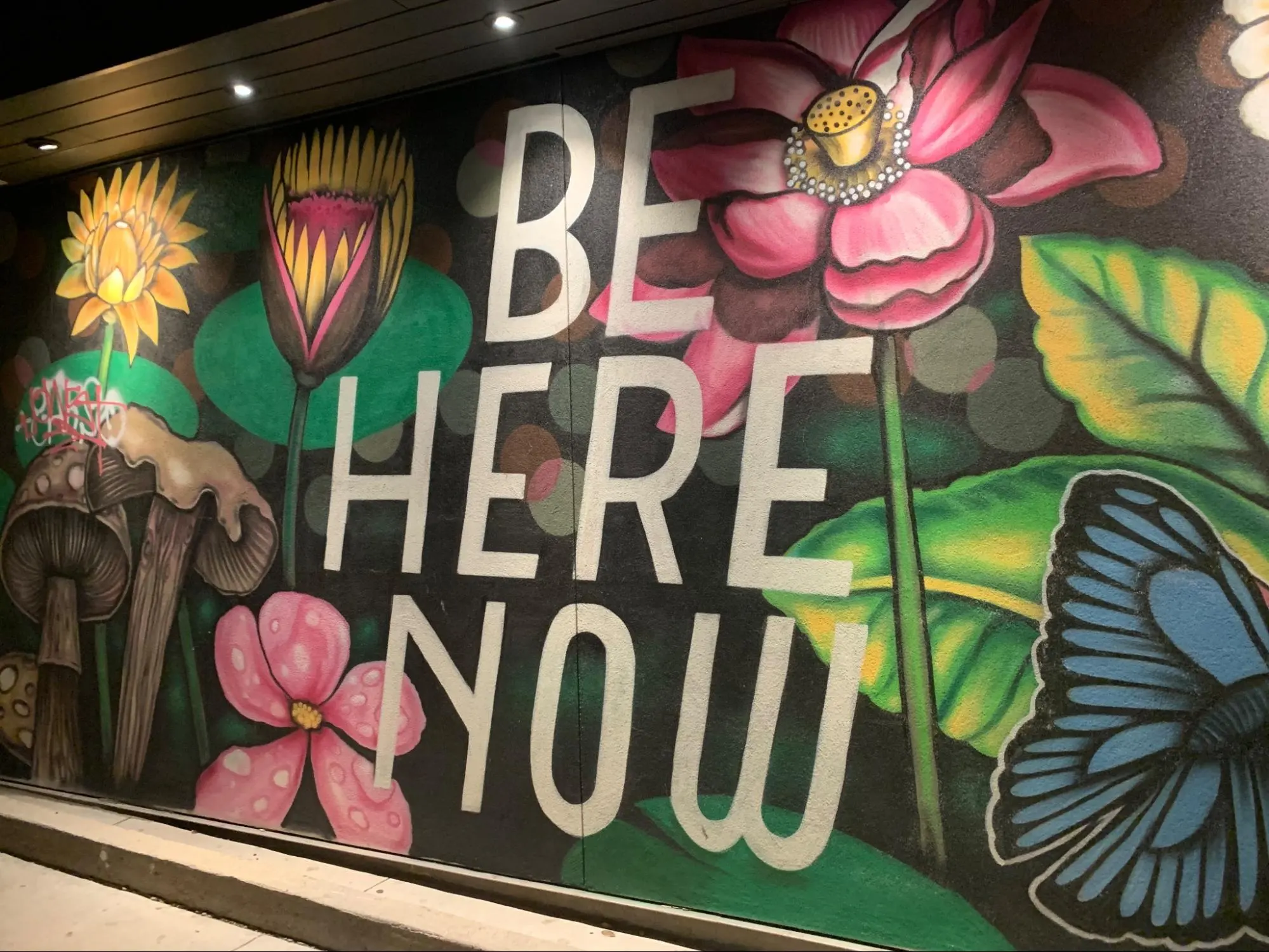 The ravens above the City of Angels